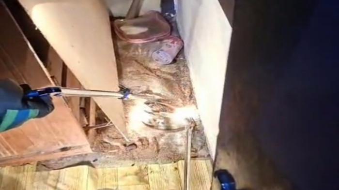 Damkar Evakuasi Seekor Ular yang Masuk ke Rumah Warga di Sanggau