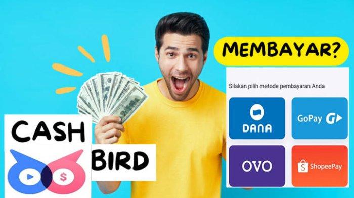 Aplikasi Penghasil Uang Cash Bird, Peluang dapat Hadiah Uang Tunai dan Resmi Ada di Play Store