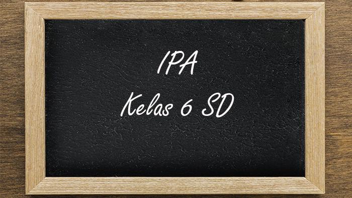 60 Soal dan Jawaban TKA IPA Kelas 6 SD Semester 1 Kurikulum Merdeka 2025