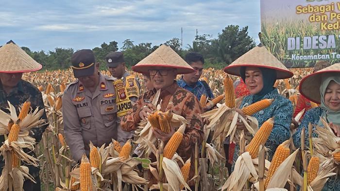 Bupati Sujiwo Lakukan Panen Raya Jagung Program Ketahanan Pangan di Desa Terentang Hilir