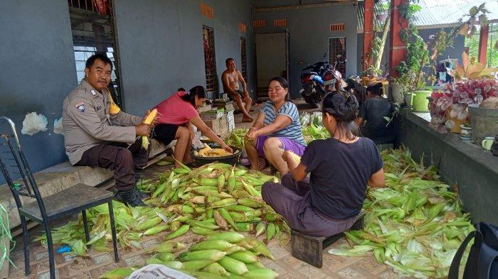 Bhabinkamtibmas Polsek Monterado Polda Kalbar Sambangi Petani Jagung di Desa Rantau