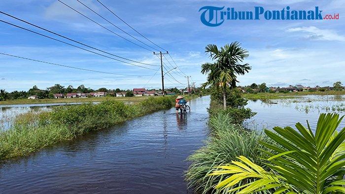 Permukiman di Jalan Parit Cabang Kiri Kabupaten Kubu Raya Langganan Banjir Usai Hujan Deras