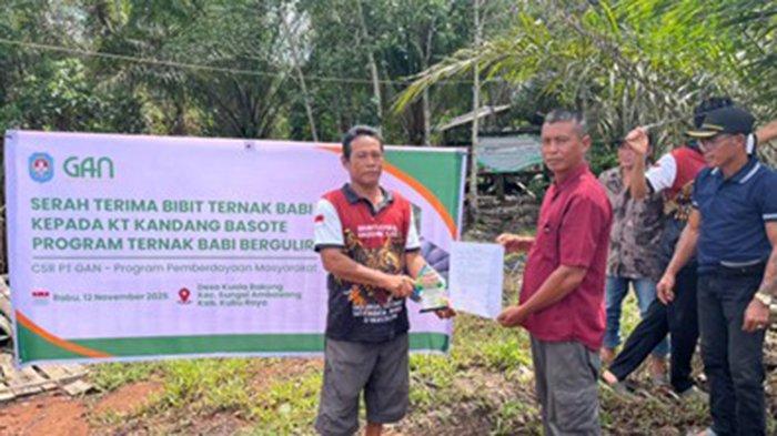 Serah Terima Bibit Babi dari KT Pahayaman Dulakng Talino kepada KT Kandang Basote.