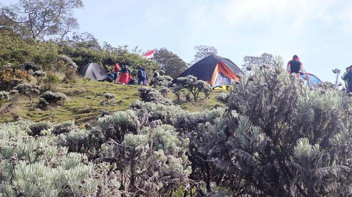 36 Pendaki Asal Jabodetabek Disanksi Usai Naik Gunung Gede Pangrango Secara Ilegal