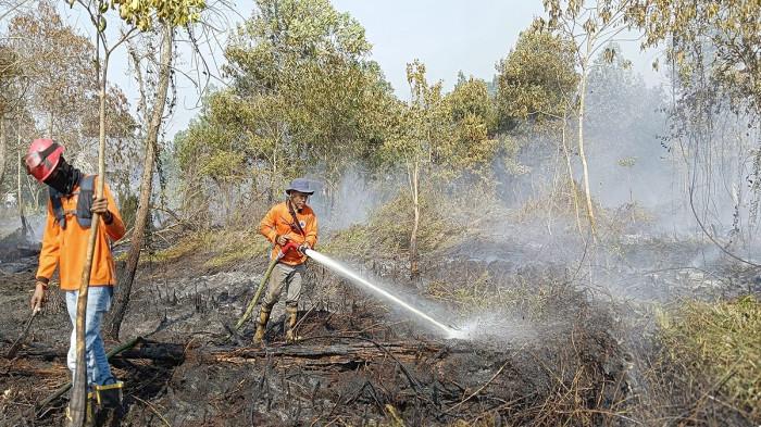 KARHUTLA DI KUBU RAYA - Petugas gabungan melakukan pemadaman kebakaran hutan dan lahan (karhutla) di Jalan Sungai Raya Dalam, Kecamatan Sungai Kakap, Kabupaten Kubu Raya, pada Rabu, 25 Maret 2026. Tim gabungan berjibaku memadamkan api yang telah memasuki hari ketiga agar tidak meluas dan menimbulkan kabut asap. 