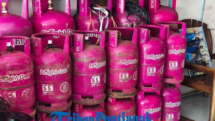 HARGA LPG - Stok LPG dari ukuran 12kg, 5.5kg hingga 3kg ketersediaan LPG di pangkalan masih aman untuk semua jenis di Jalan Putri Dara Hitam, Minggu 19 April 2026.