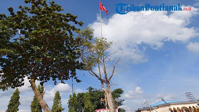 Bawaslu Tertibkan APK Terpasang di Pembangunan Pemerintah