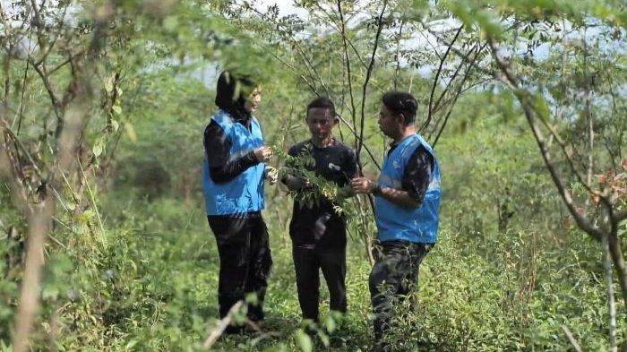 Pengembangan Biomassa PLN di Tasikmalaya: Dikelola Masyarakat, Didukung Pemerintah