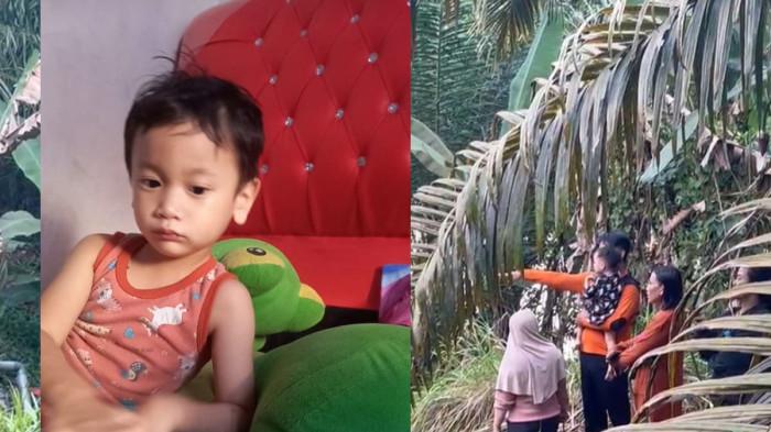 HILANGNYA ANAK NGABANG - Kolase foto anak 5 tahun bernama Muhammad Dirgantara Al Hafiz yang hilang di sekitaran Dusun Manguk, Desa Mungguk, Kecamatan Ngabang, Kabupaten Landak sejak Minggu 30 November 2025 sore (kiri) dan foto Ayah Hafiz (gendong anak kedua) bersama Ibunda Hafiz (kerudung), saat masih mencari keberadaan anaknya di samping rumah pada Senin 1 Desember 2025 siang yang penuh isak tangis (kanan). Dirgantara berhasil ditemukan pada Selasa 2 Desember pagi dalam kondisi tewas usai 3 hari pencarian.