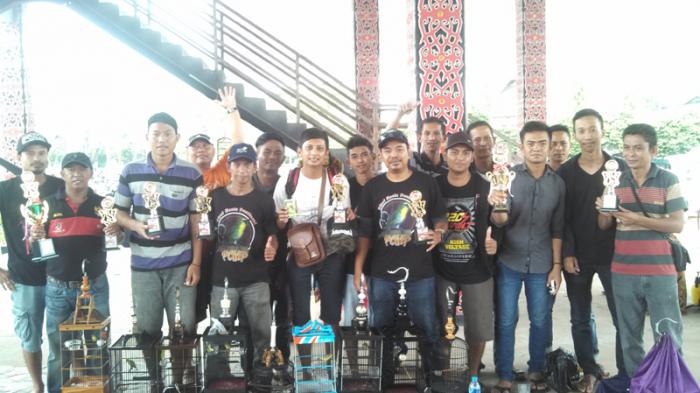 Ical Puas Sabet Juara Dua Kelas Cucak Rowo