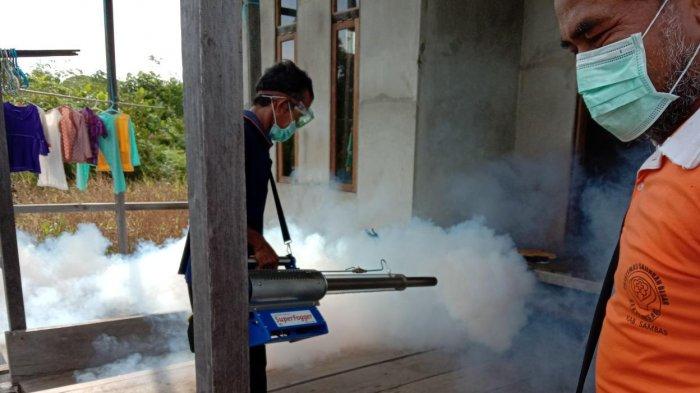 Pelaksanaan Fogginng oleh Kadus pelik untuk pencegahan DBD. 