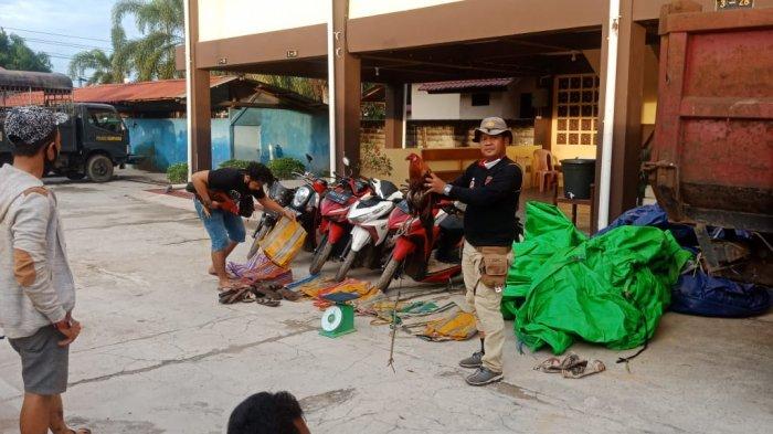 Bongkar Arena Judi Sabung Ayam di Desa Wajok Hulu Mempawah, Tujuh Tersangka Berhasil Diciduk Polisi