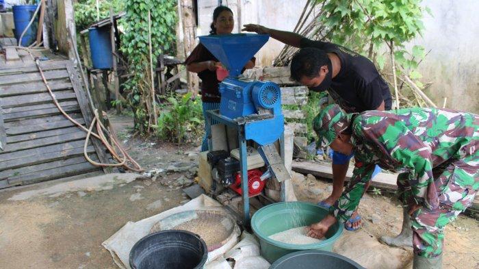 Peduli Pangan, Satgas TMMD Kodim Sanggau Bantu Warga Giling Padi