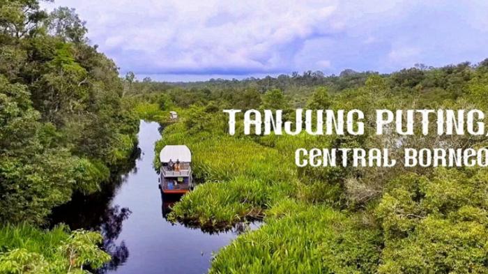 Taman Nasional Tanjung Puting.