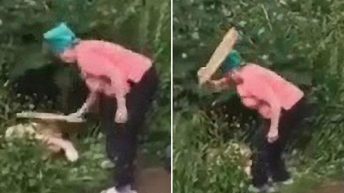 VIRAL, SEORANG Kakek Mesum Bersama Bukan Pasangannya di Semak-semak, Sang Istri Pukuli Mereka