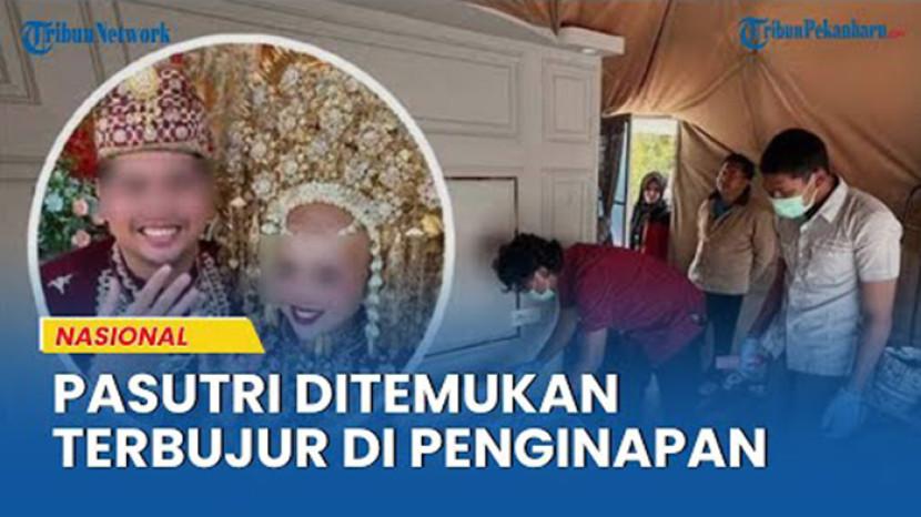 Tribun