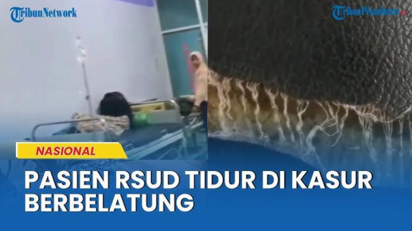 Tribun