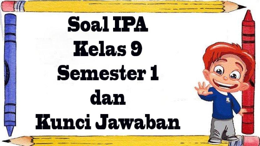 Tribun