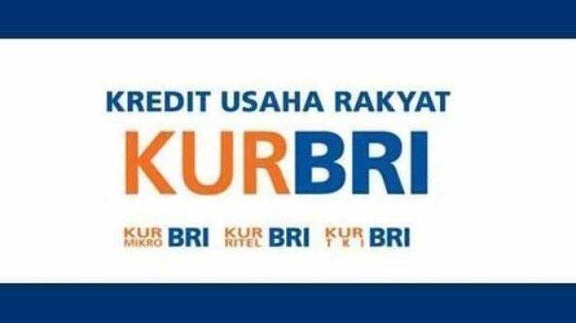 Tribun