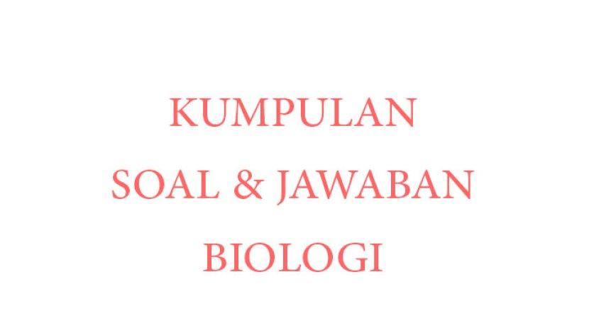 Tribun