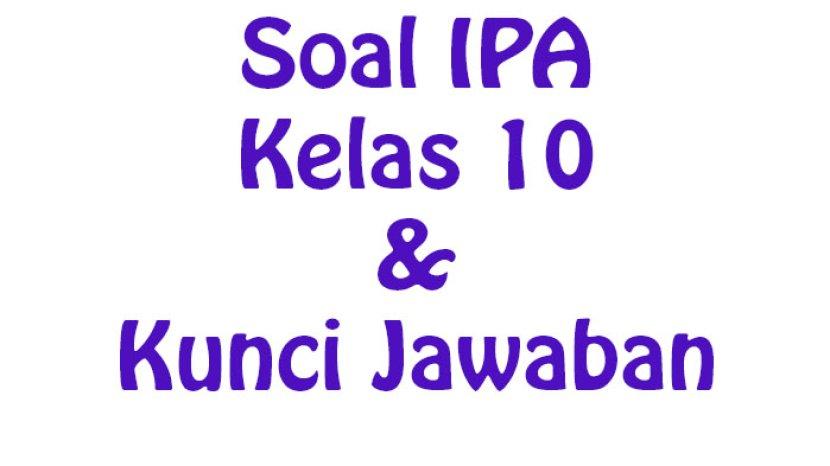 Tribun