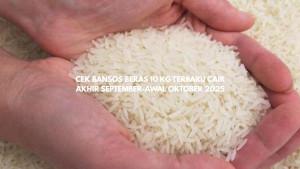 10kg-Pemerintah-akan-menyalurkan-bansos.jpg