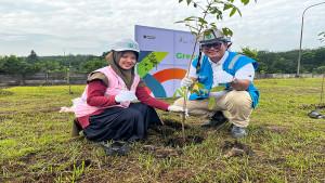 2TANAM-POHON435.jpg