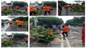 ANGIN-KENCANG-240925555.jpg