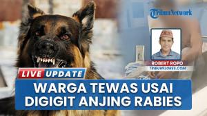 Anjing-Rabies-Gigit-Pemilik-hingga-Tewas-di-NTT-Lalu-Dimakan-Bersama-Tetangga.jpg