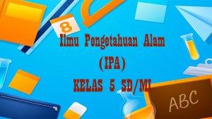 Berikut-soal-IPA-kelas-5-SD-Semester-2-Kurikulum-Merdeka.jpg