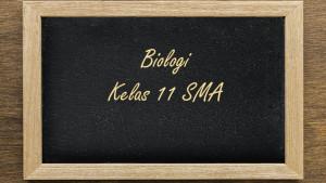 Biologi-Kelas-11-SMA-Semester-1-Kurikulum-Merdeka1.jpg