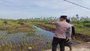 CEK-LAHAN-234rewdf.jpg