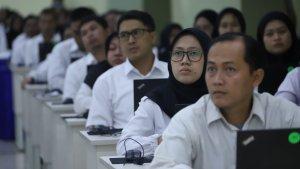 CPNS-2024-telah-diumumkan.jpg