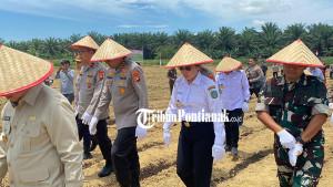 DUKUNG-PRODUKSI-JAGUNG2354r3ew.jpg