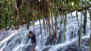 Desa-Karangdangin-Kecamatan-Jelai-Hulu-Kabupaten.jpg