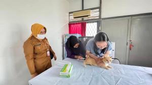 HARI-RABIES-300925555.jpg