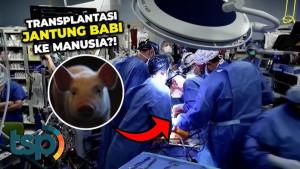 Hati-Babi-Selamatkan-Warga-Hidup-171-Hari-Pasca-Operasi-2025.jpg