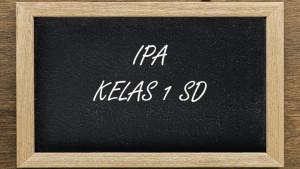 IPA-kelas-1-SD-Semester-1-30.jpg