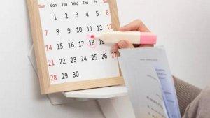 Ilustrasi-Kalender-2024-sbvds.jpg