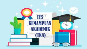 Ilustrasi-grafis-tentang-tes-kemampuan-akademik.jpg