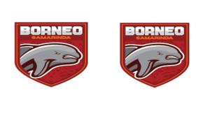 Inilah-daftar-pemain-Borneo-FC-Samarinda-11.jpg