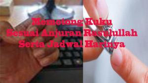 Jadwal-memotong-kuku-dengan-baik.jpg