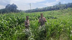 Jajaran-Polres-Singkawang-melaksanakan-kegiatan-pengecekan.jpg