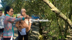 KAMPUNG-NELAYAN234ewd.jpg