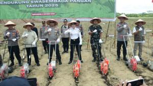 Kapolda-Tanam-Jagung-Skw.jpg