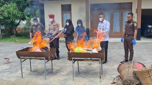 MUSNAHKAN-BARANG-BUKTI234ew.jpg