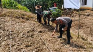 Menyuke-landak-jaging.jpg