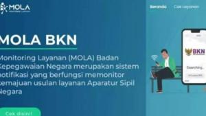 NIP-PPPK-Paruh-Waktu-2025-melalui-Mola-BKN.jpg