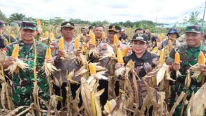 PANEN-RAYA-110925.jpg
