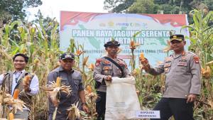 PANEN-RAYA-2706252523333.jpg